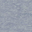 Tarkett / Johnsonite LinoFloor Veneto Linoleum Sheet TAR14172663 Horizon (Partial Piece - Sample)