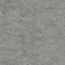 Tarkett / Johnsonite LinoFloor Veneto Linoleum Sheet TAR14172672 Aluminium (Partial Piece - Sample)