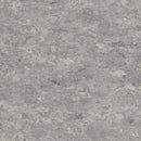 Tarkett / Johnsonite LinoFloor Veneto Linoleum Sheet TAR14172702 Storm (Partial Piece - Sample)