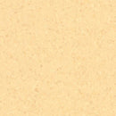 Tarkett / Johnsonite Melodia Homogeneous Sheet TAR21020786 Palomino (Partial Piece - Sample)