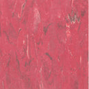 Tarkett / Johnsonite VCT II 565 Matador Vinyl Composition Tile (Partial Piece - Sample)