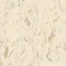 Tarkett / Johnsonite VCT II 573 Desert Storm Vinyl Composition Tile (Partial Piece - Sample)