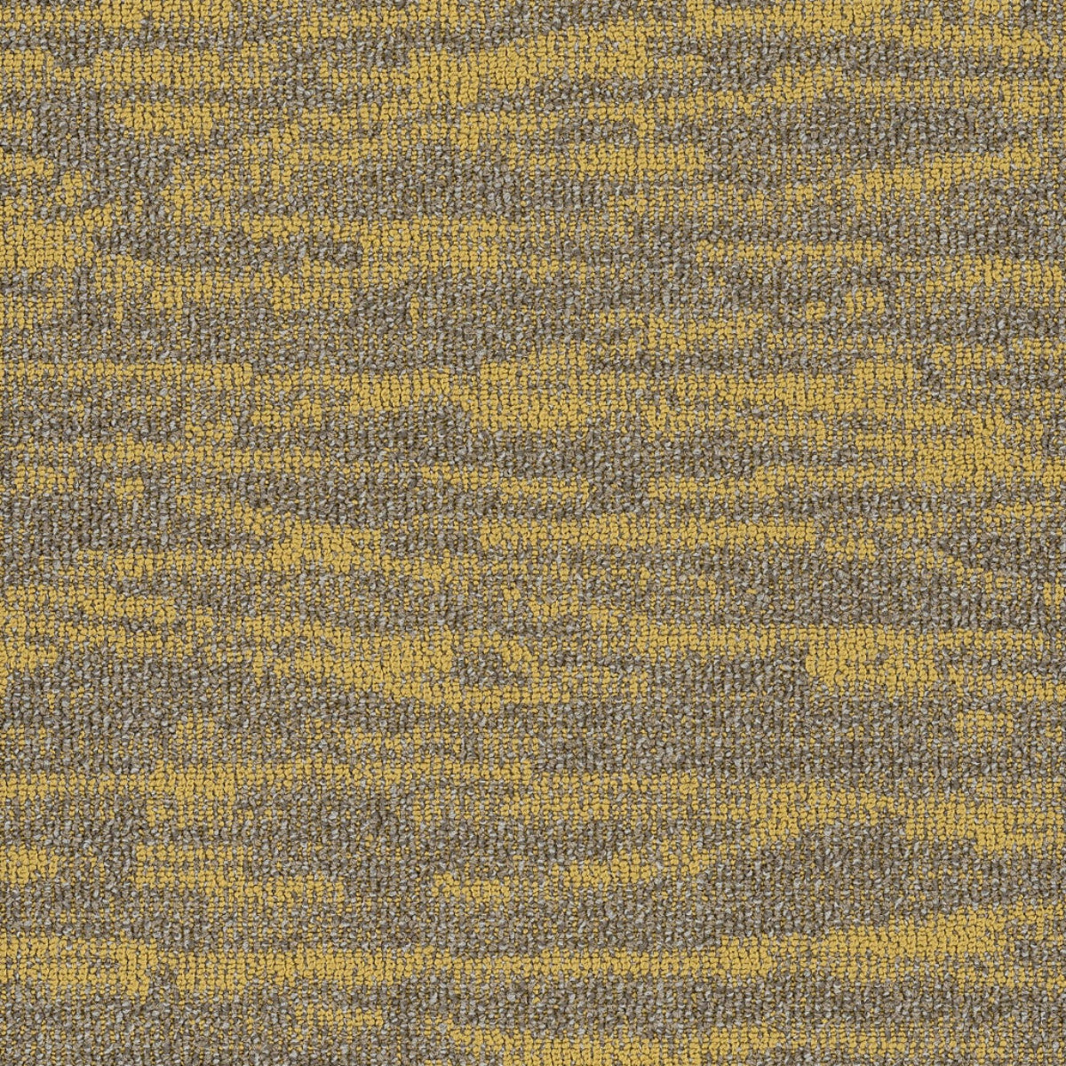 Philadelphia Commercial Tidewater 54849-00220 Monadnock 18" x 36" Carpet Tile