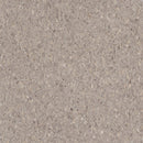 Armstrong Premium Excelon Crown Texture 5C901 Taupe VCT Tile (Partial Piece - Sample)