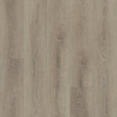 Shaw Paladin Plus Toasted Taupe 0278V-05218 7.08