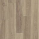 Shaw Fresh Take 3415V-05209 Lounge Greige 8.86