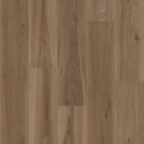 Shaw Fresh Take 3415V-07347 Windsor Brown 8.86