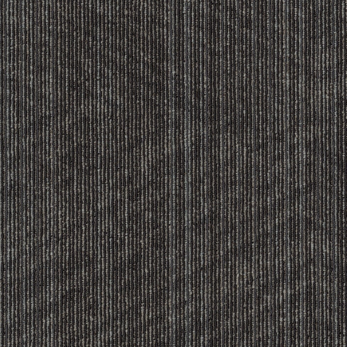 Philadelphia Commercial Vantage 54952-00512 Appear 18" x 36" Carpet Tile
