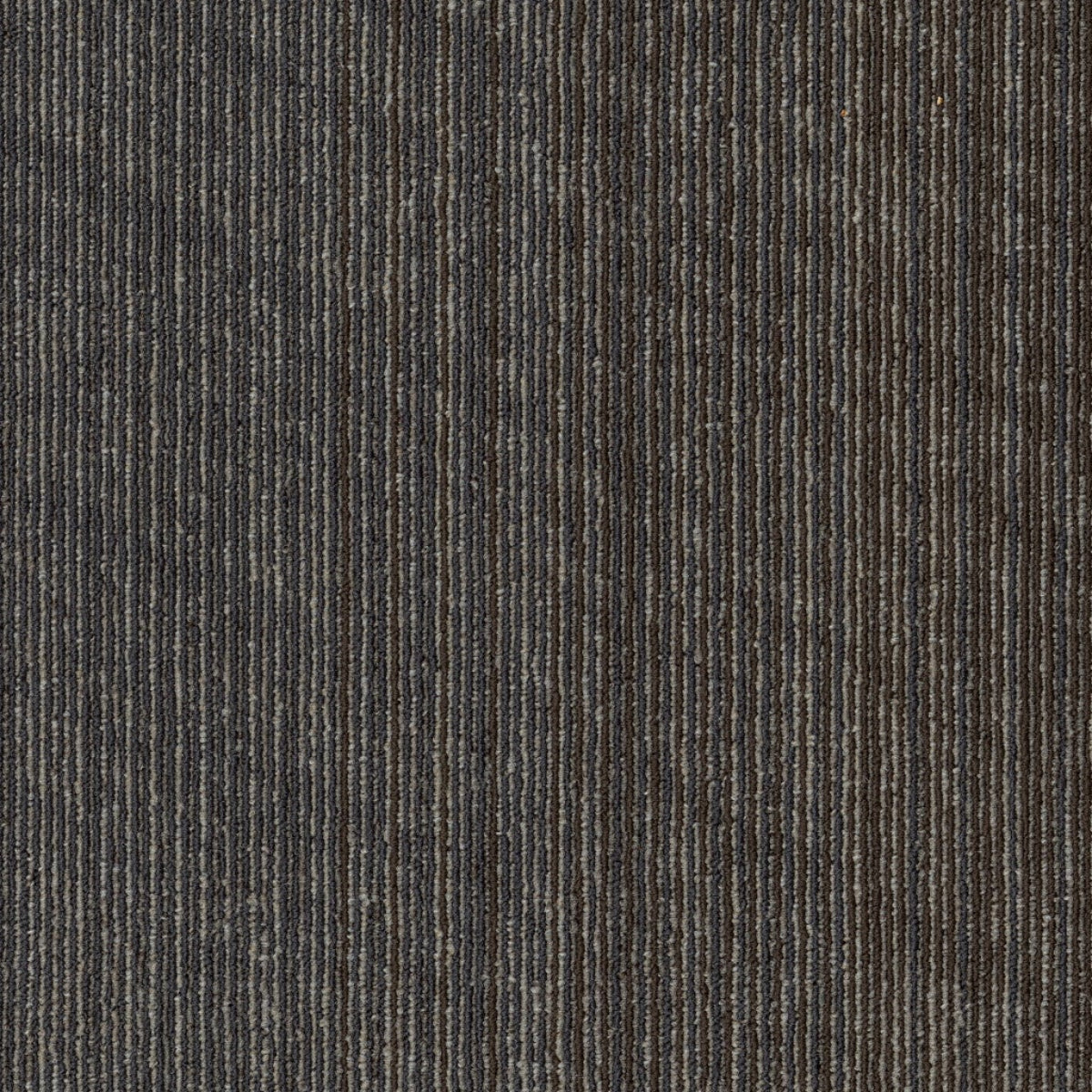 Philadelphia Commercial Vantage 54952-00508 Emerge 18" x 36" Carpet Tile