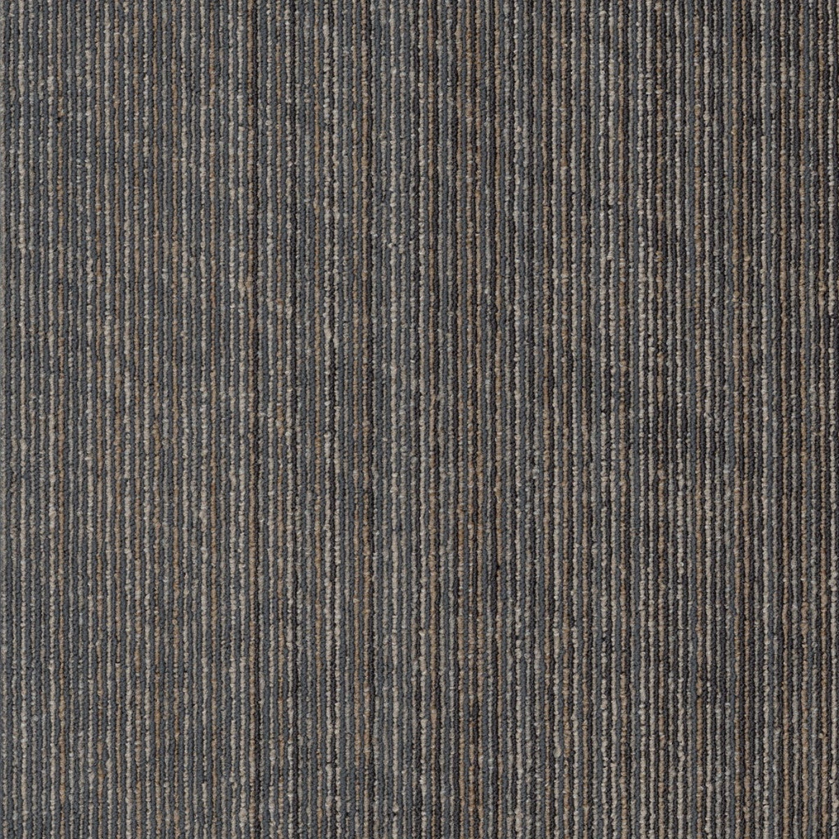 Philadelphia Commercial Vantage 54952-00206 Reveal 18" x 36" Carpet Tile