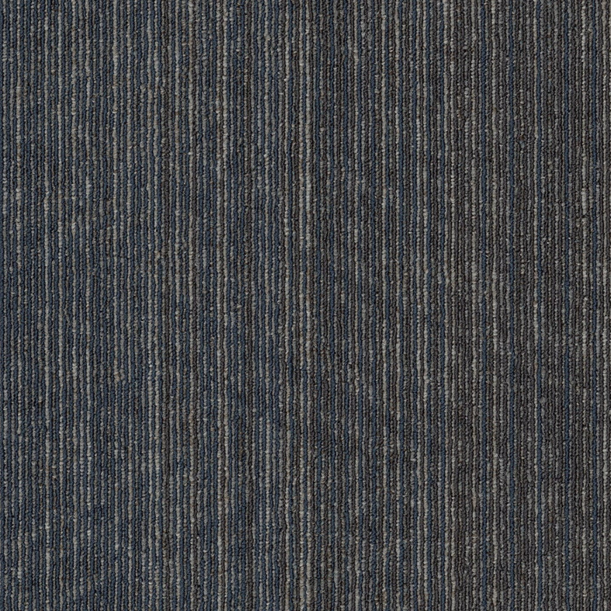 Philadelphia Commercial Vantage 54952-00410 Viewpoint 18" x 36" Carpet Tile