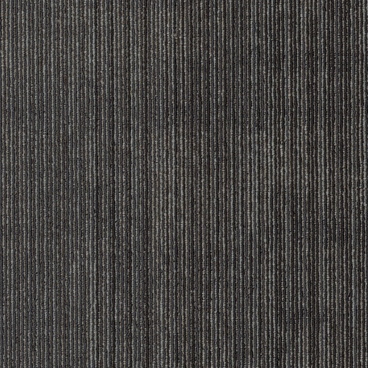 Philadelphia Commercial Visibility 54953-00512 Appear 18" x 36" Carpet Tile