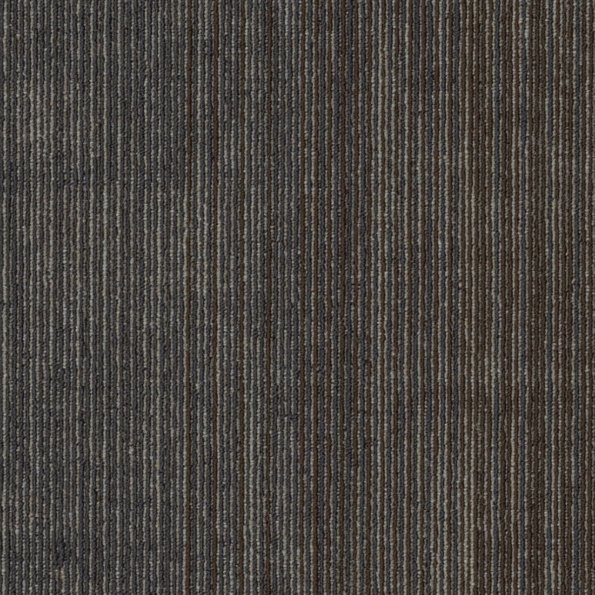 Philadelphia Commercial Visibility 54953-00508 Emerge 18" x 36" Carpet Tile