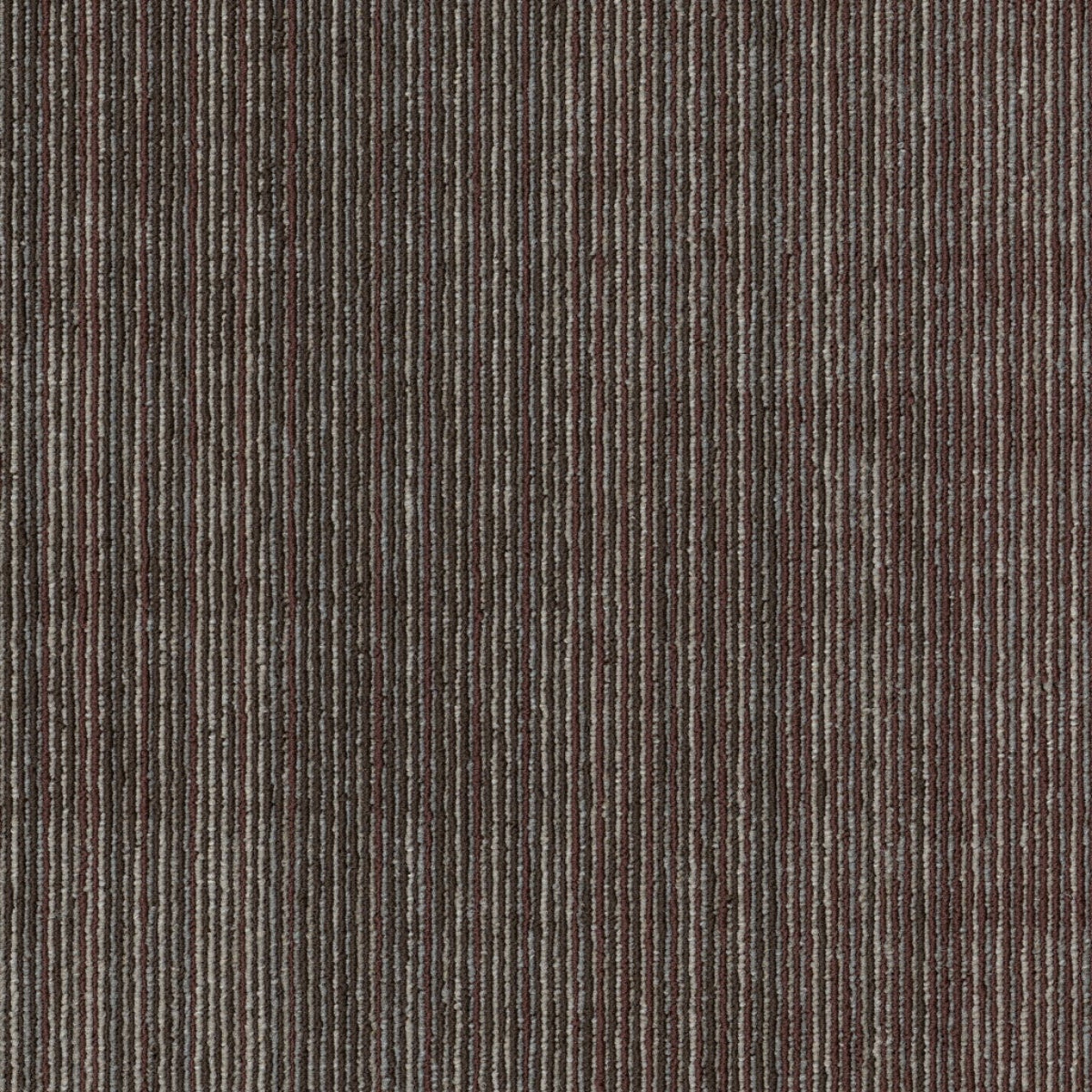 Philadelphia Commercial Visibility 54953-00706 Evolve 18" x 36" Carpet Tile