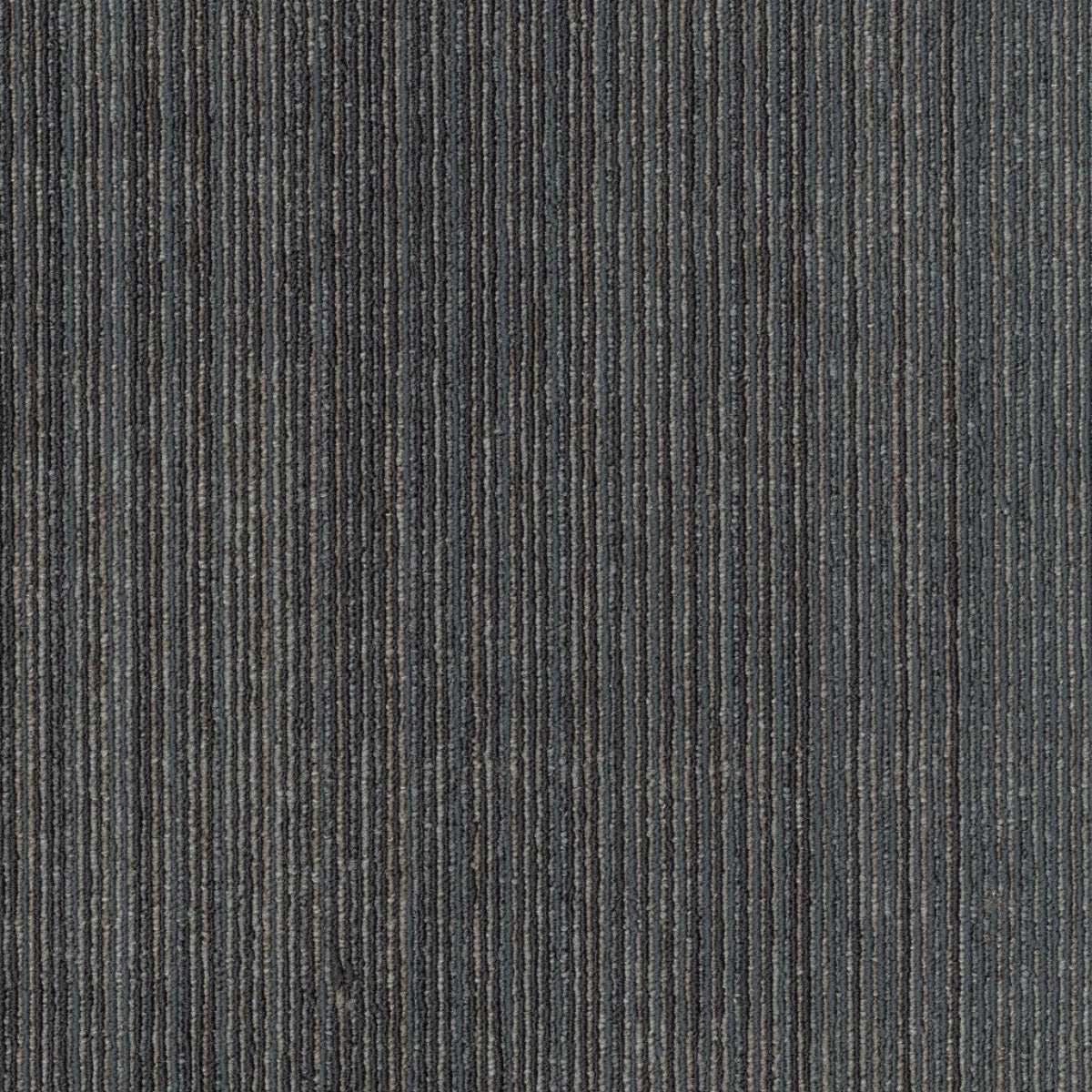 Philadelphia Commercial Visibility 54953-00502 Focus 18" x 36" Carpet Tile