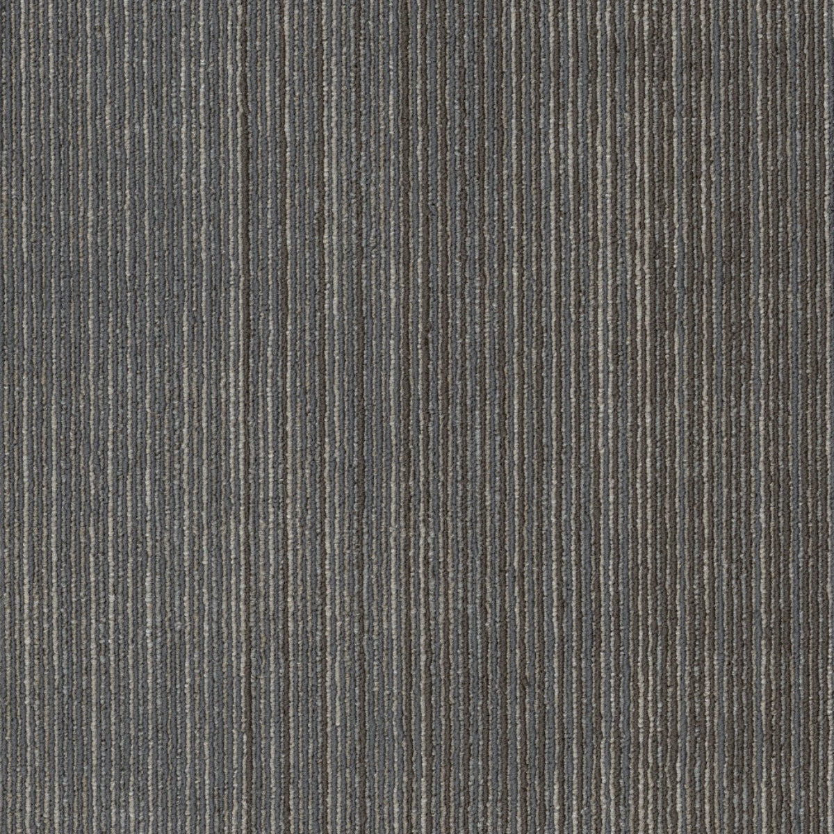 Philadelphia Commercial Visibility 54953-00500 Perception 18" x 36" Carpet Tile
