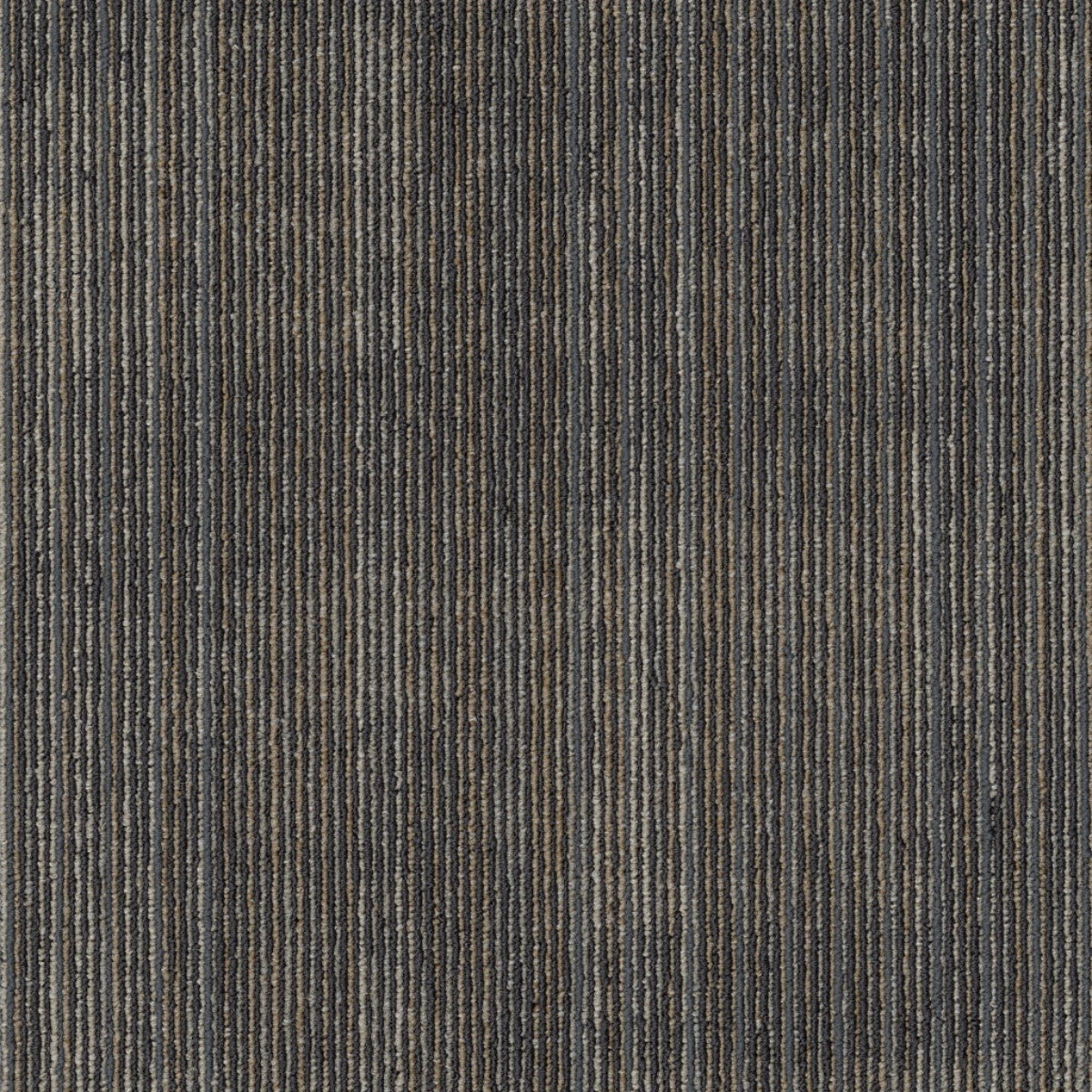 Philadelphia Commercial Visibility 54953-00206 Reveal 18" x 36" Carpet Tile