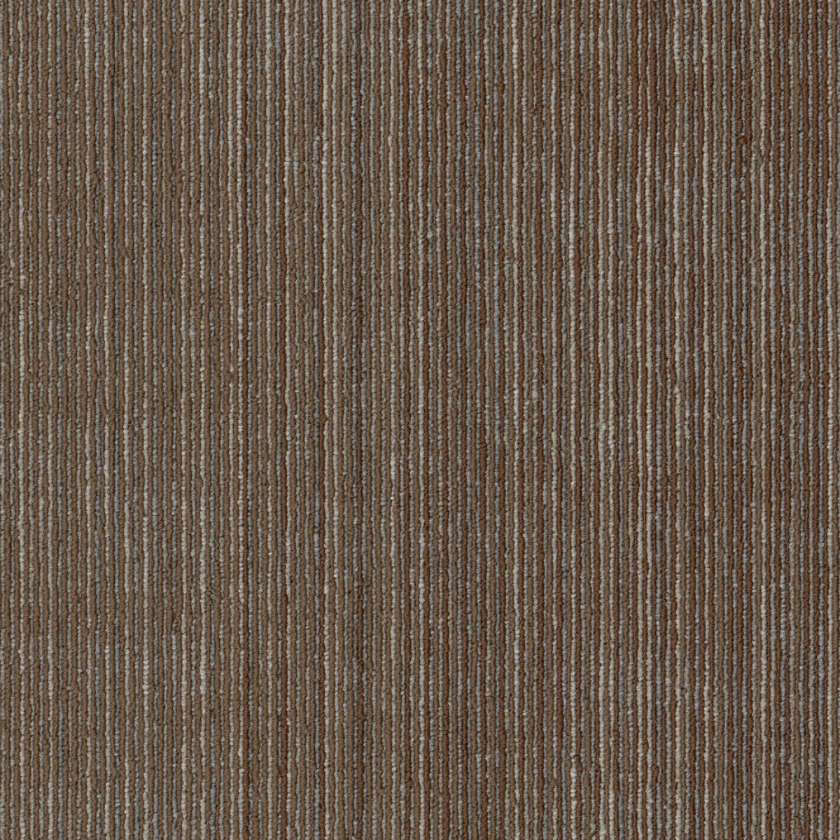 Philadelphia Commercial Visibility 54953-00700 Surface 18" x 36" Carpet Tile