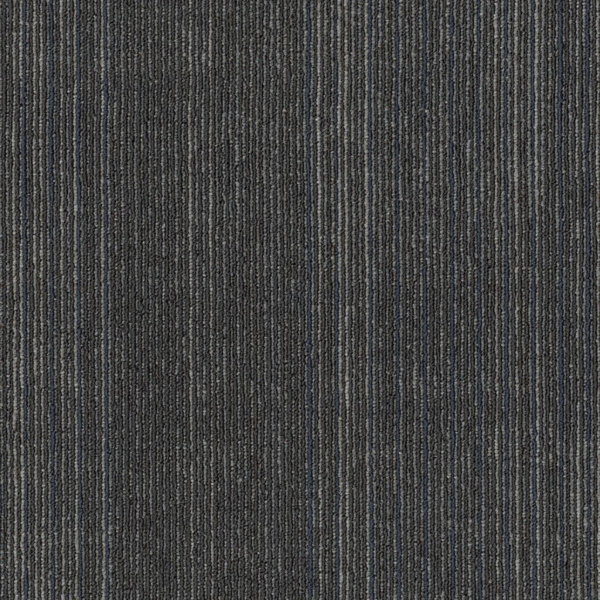 Philadelphia Commercial Visibility 54953-00410 Viewpoint 18" x 36" Carpet Tile