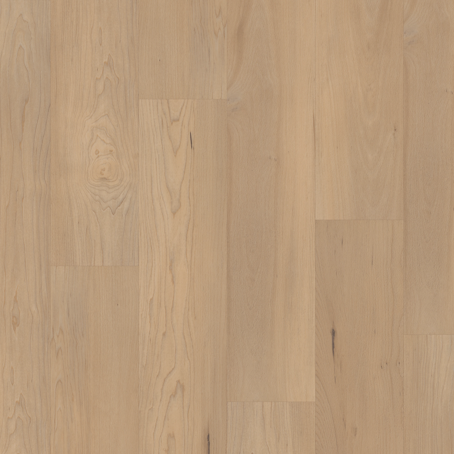 COREtec Pro Premium VV800-05035 Douglas Maple