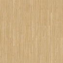Aladdin Familiar Frontier II Plus AH080-222 Amber 6