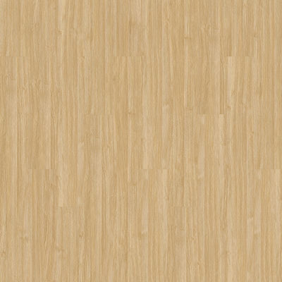 Aladdin Familiar Frontier II Plus AH080-222 Amber 6" x 48" Glue Down LVT (54 SF/Box)