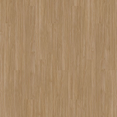 Aladdin Familiar Frontier II AH078-258 Tawny 6" x 48" Glue Down LVT (54 SF/Box)