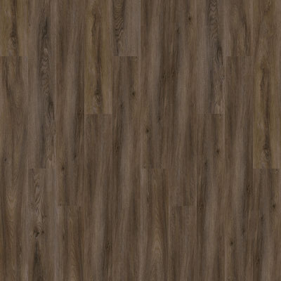 Aladdin Familiar Frontier II Plus AH080-868 Truffle 6" x 48" Glue Down LVT (54 SF/Box)