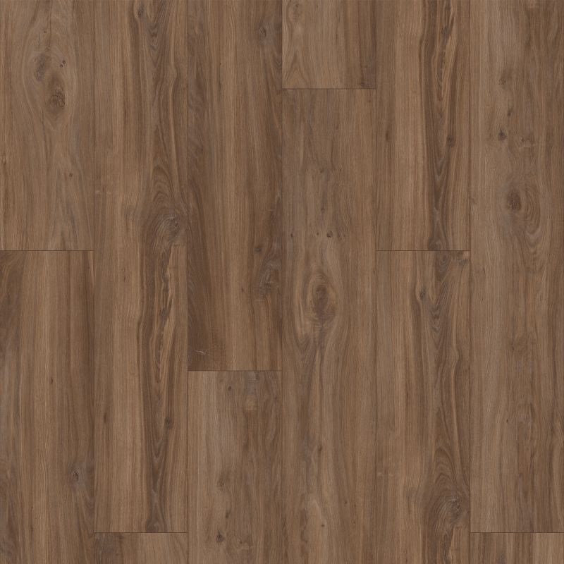 Aladdin Wildwood Preserve Luxury Vinyl Tile AH105-880 Loggerhead Oak 8" x 48"