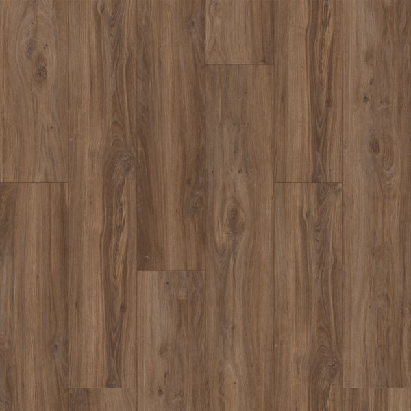Aladdin Wildwood Preserve Luxury Vinyl Tile AH105-880 Loggerhead Oak 8