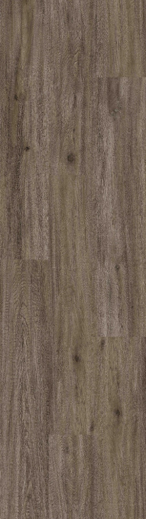 Armstrong Biome ST154 Isle of Skye 9" x 48" Luxury Vinyl Tile (36 SF/Box)