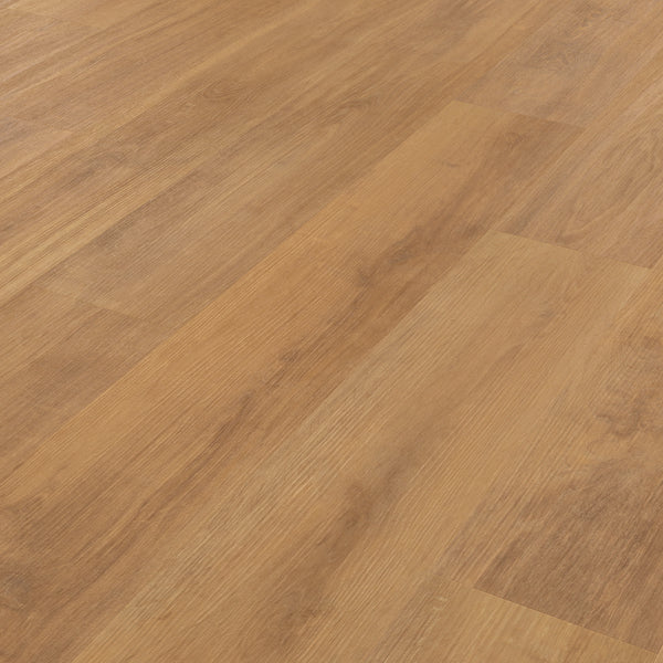 barley-oak--rkp8206--