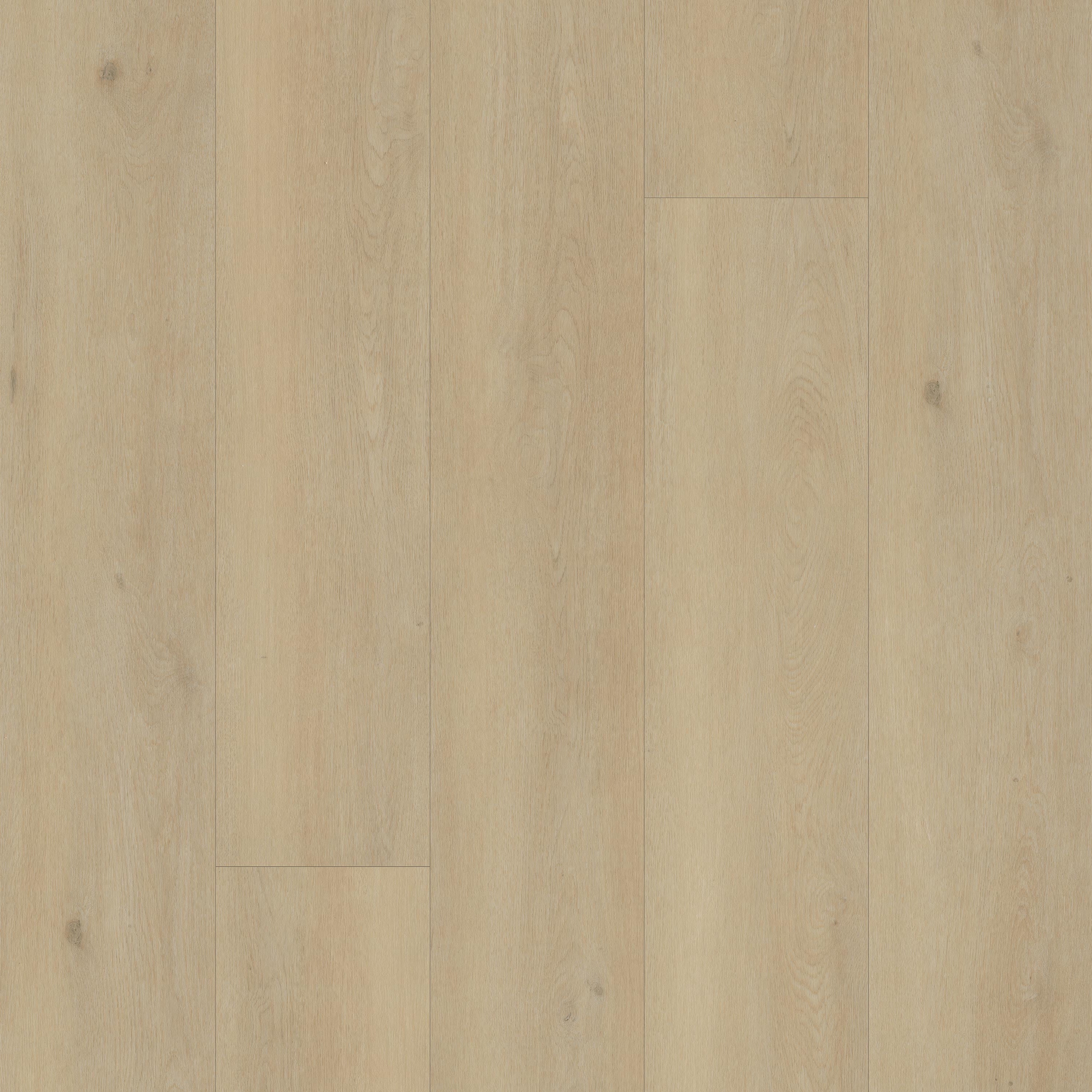 MSI Everlife Kallum Palmilla 9 x 48 Loose Lay LVT
