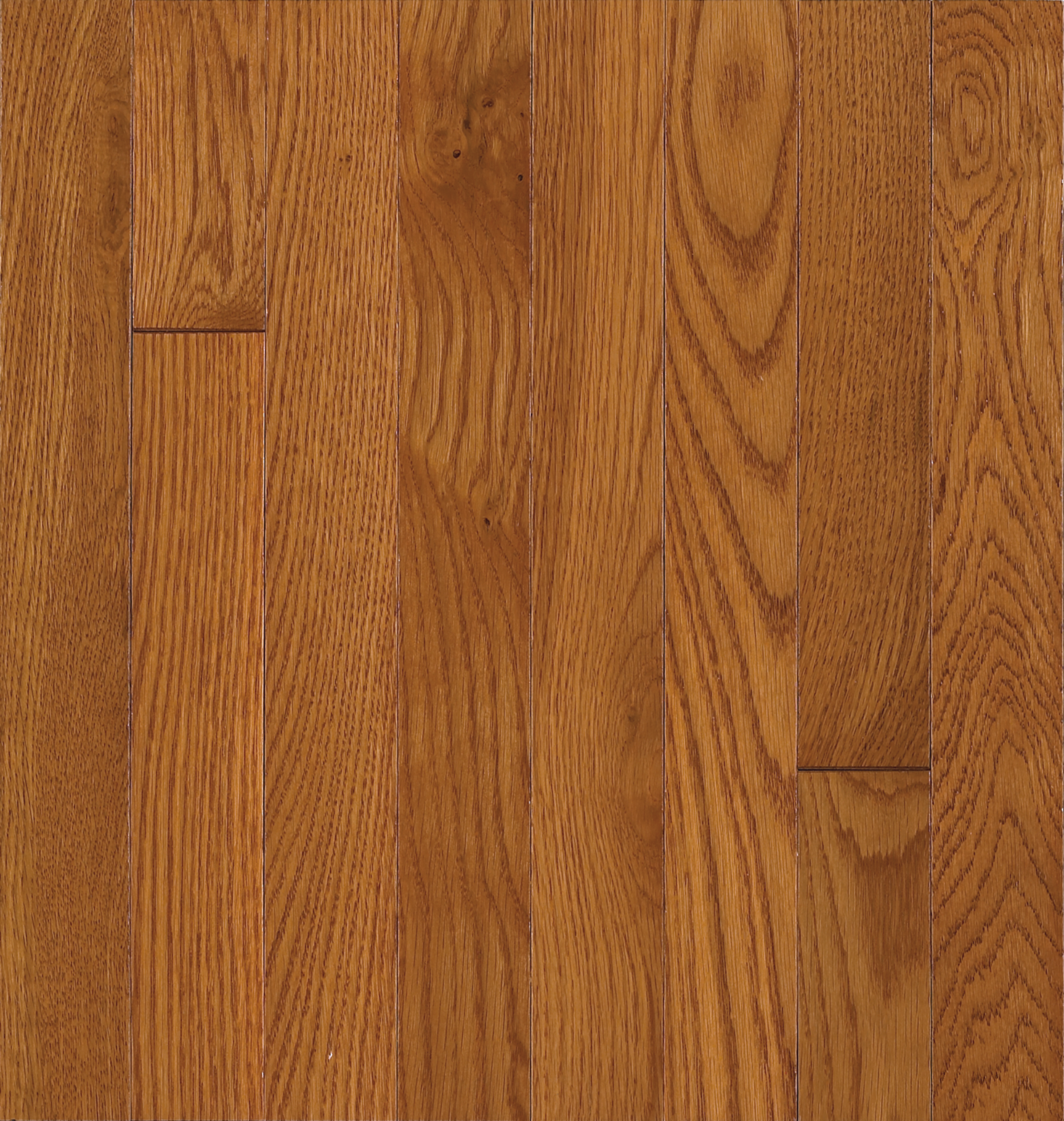Bruce Waltham BRUC8240 Brass Oak Solid Hardwood Flooring (Partial Piece - Sample)