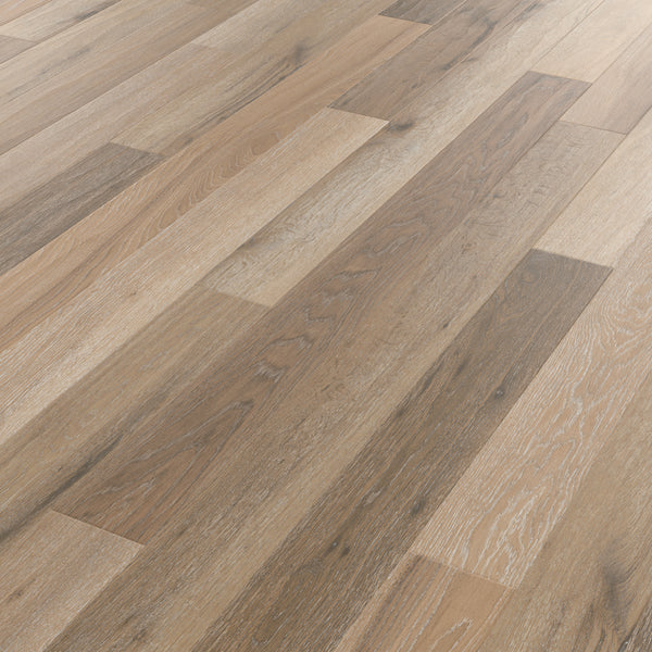 canterbury-ash--rl41--