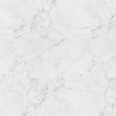 MSI Everlife XL Trecento Carrara Avell Vinyl Tile (Partial Piece - Sample)