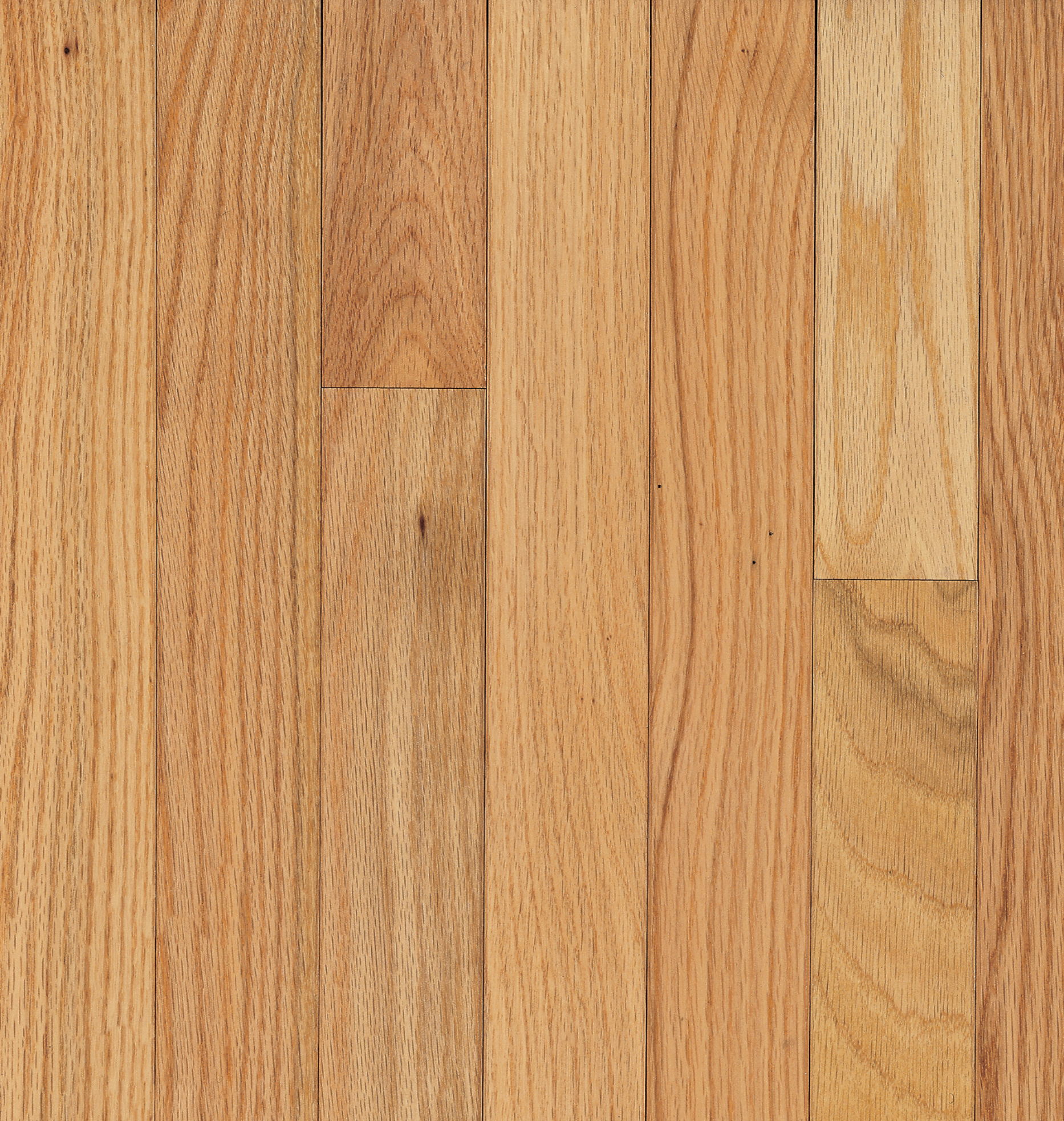 Bruce Dundee BRUCB210 Natural Oak Solid Hardwood (Partial Piece - Sample)