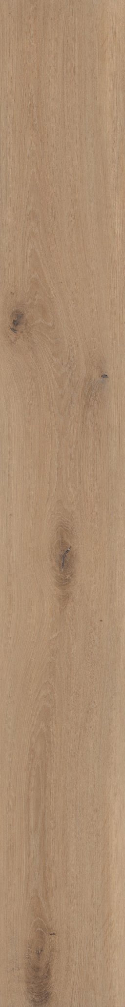 COREtec Blonde Oak WPC Vinyl Plank Flooring VV810-05026 LVP Originals Premium 8.85" X 72.05" (26.47 SF/Box)
