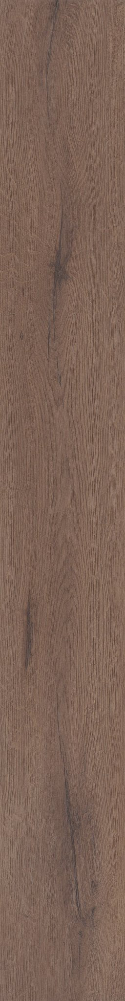 COREtec Cerith Oak WPC Vinyl Plank Flooring VV810-04027 LVP Originals Premium 8.85" X 72.05" (26.47 SF/Box)