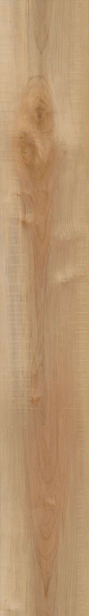 COREtec Manila Oak WPC Vinyl Plank Flooring VV012-00760 LVP Originals Enhanced 7" x 48" (23.64 SF/Box)