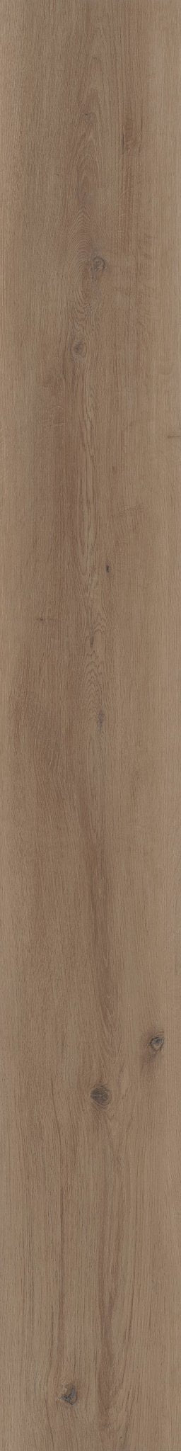 COREtec Parchment WPC Vinyl Plank Flooring VV810-05027 LVP Originals Premium 8.85" X 72.05" (26.47 SF/Box)