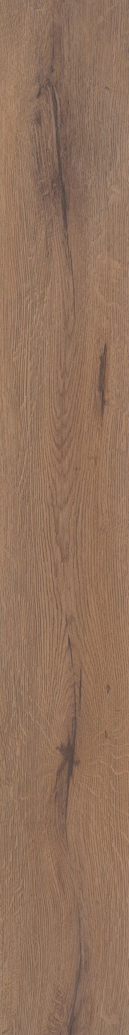 COREtec Sand Dollar Oak WPC Vinyl Plank Flooring VV810-05024 LVP Originals Premium 8.85" X 72.05" (26.47 SF/Box)