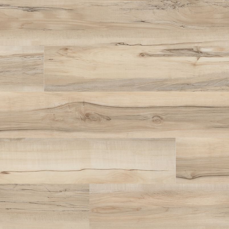 MSI Everlife Cyrus Akadia Vinyl Plank (Partial Piece - Sample)