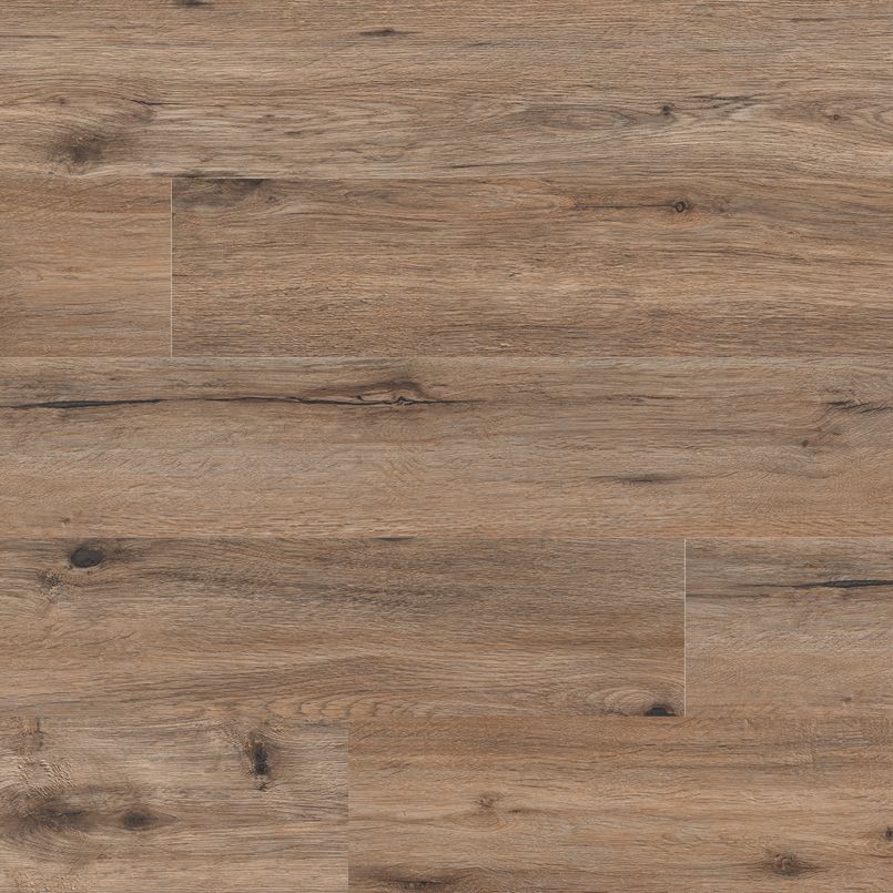 MSI Everlife Cyrus Fauna Vinyl Plank (Partial Piece - Sample)