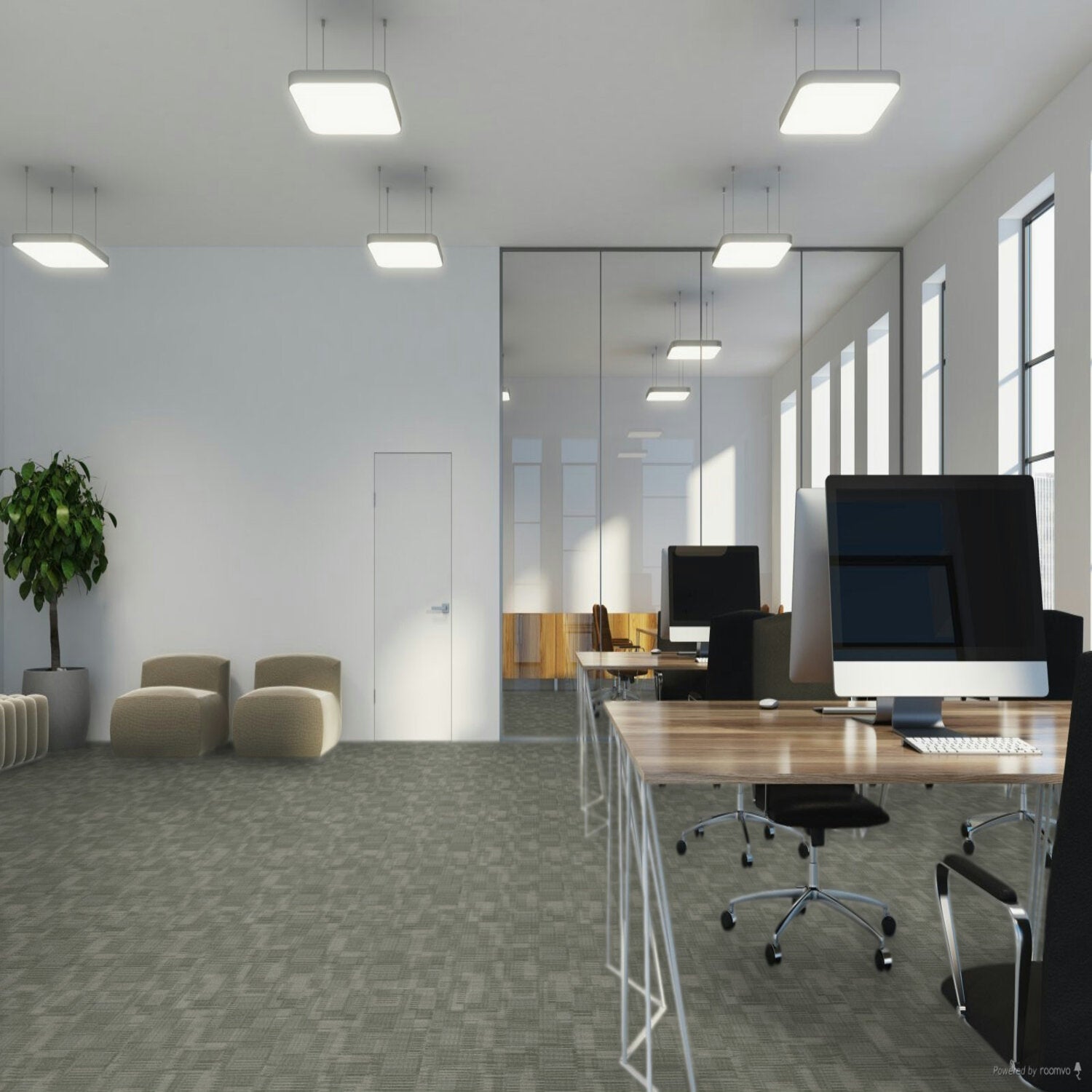 Pentz Carpet Blockade Sector 24