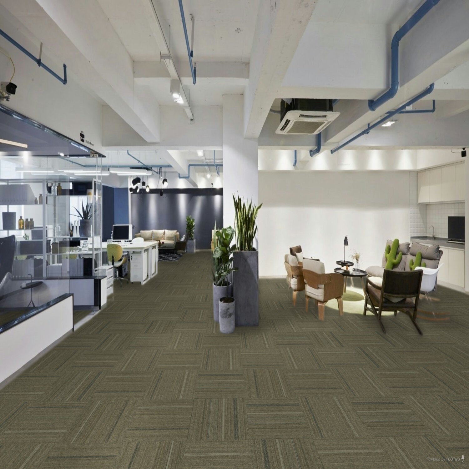 Pentz Carpet Revival - Stimulus 24