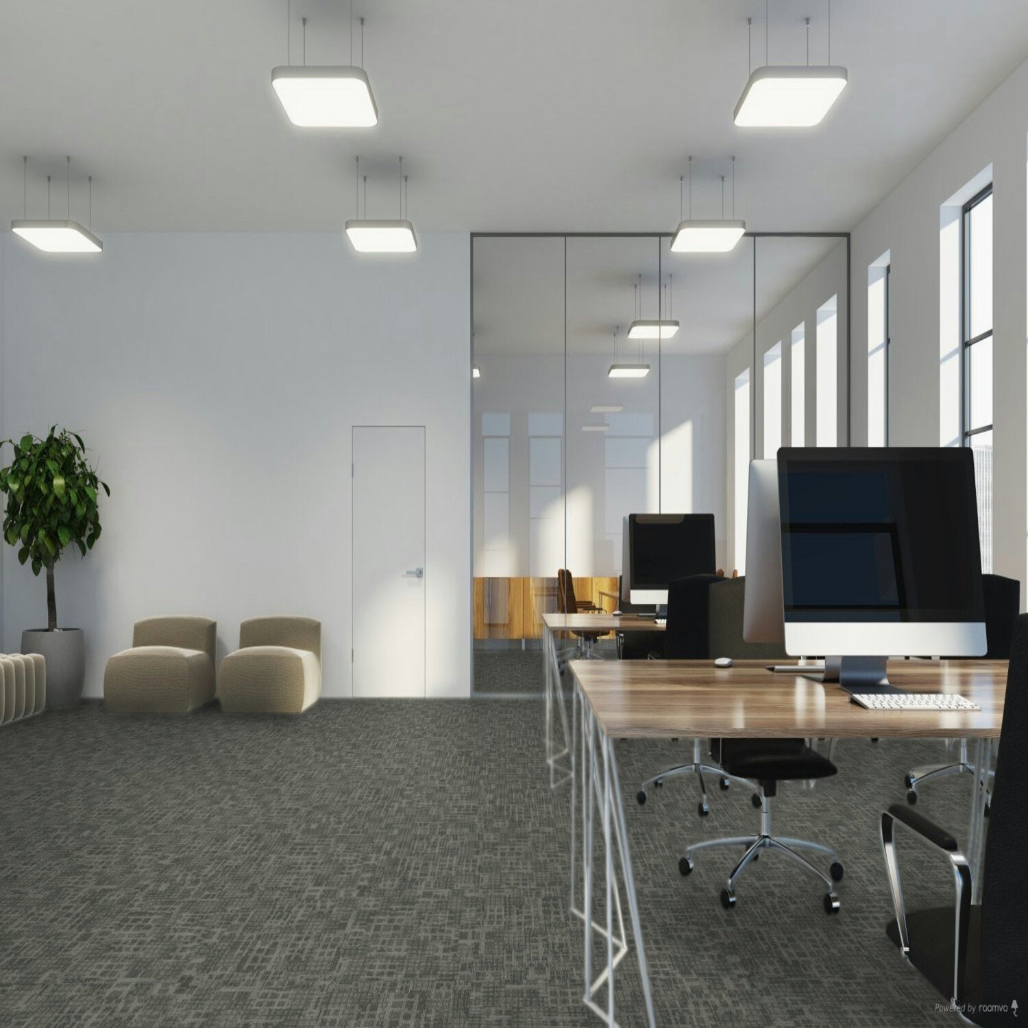 Pentz Carpet Techtonic Framework 24