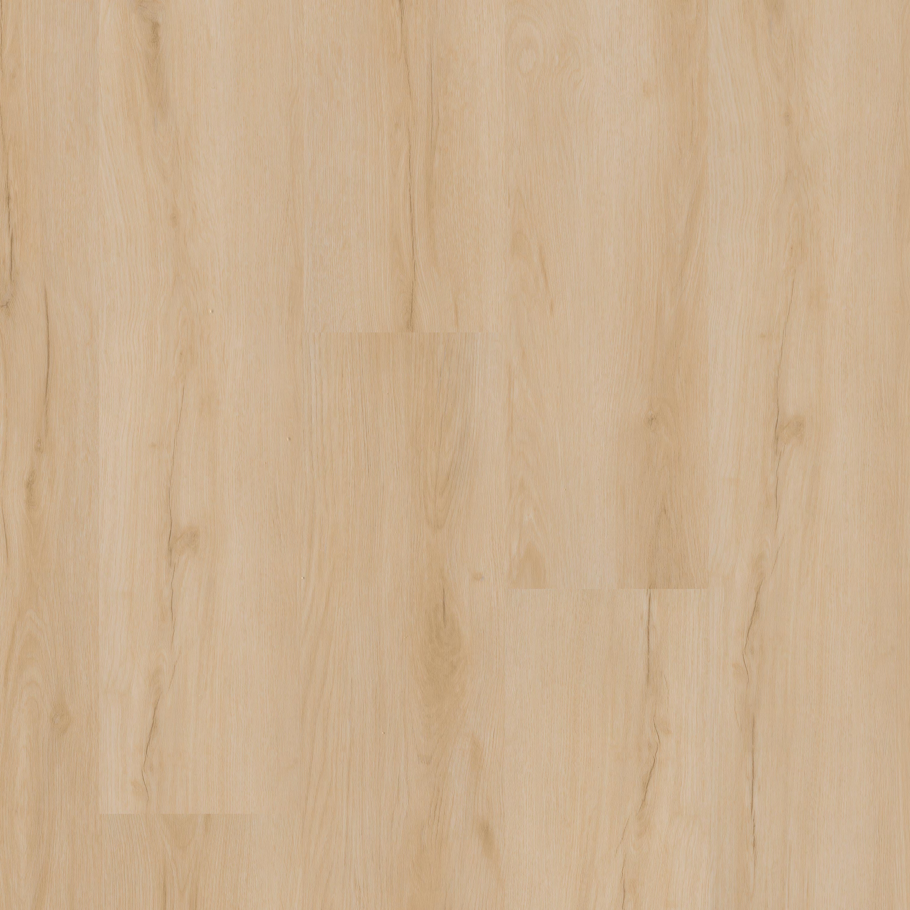 MSI Everlife Nove Fallonton 9" x 48" Glue Down LVT (54 SF/Box)