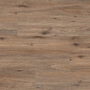 MSI Everlife Cyrus 2-0 Fauna Vinyl Plank (Partial Piece - Sample)