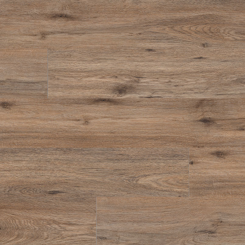 MSI Everlife Cyrus 2-0 Fauna Vinyl Plank (Partial Piece - Sample)